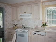 Kitchens - Major Renovations and New Construction